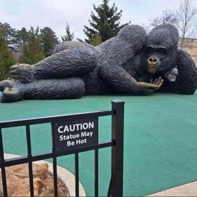Funny Pictures – June 6, 2025