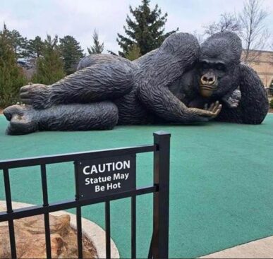 Funny Pictures – June 6, 2025