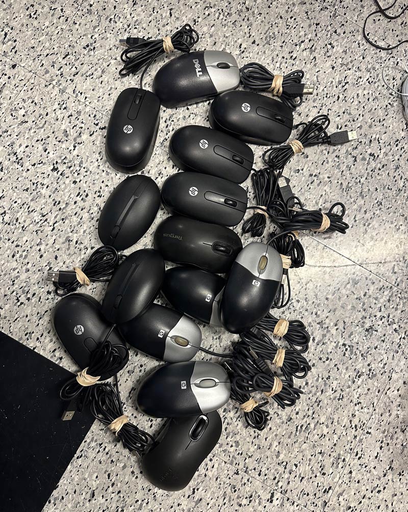 aaaaah! it’s a mouse infestation!