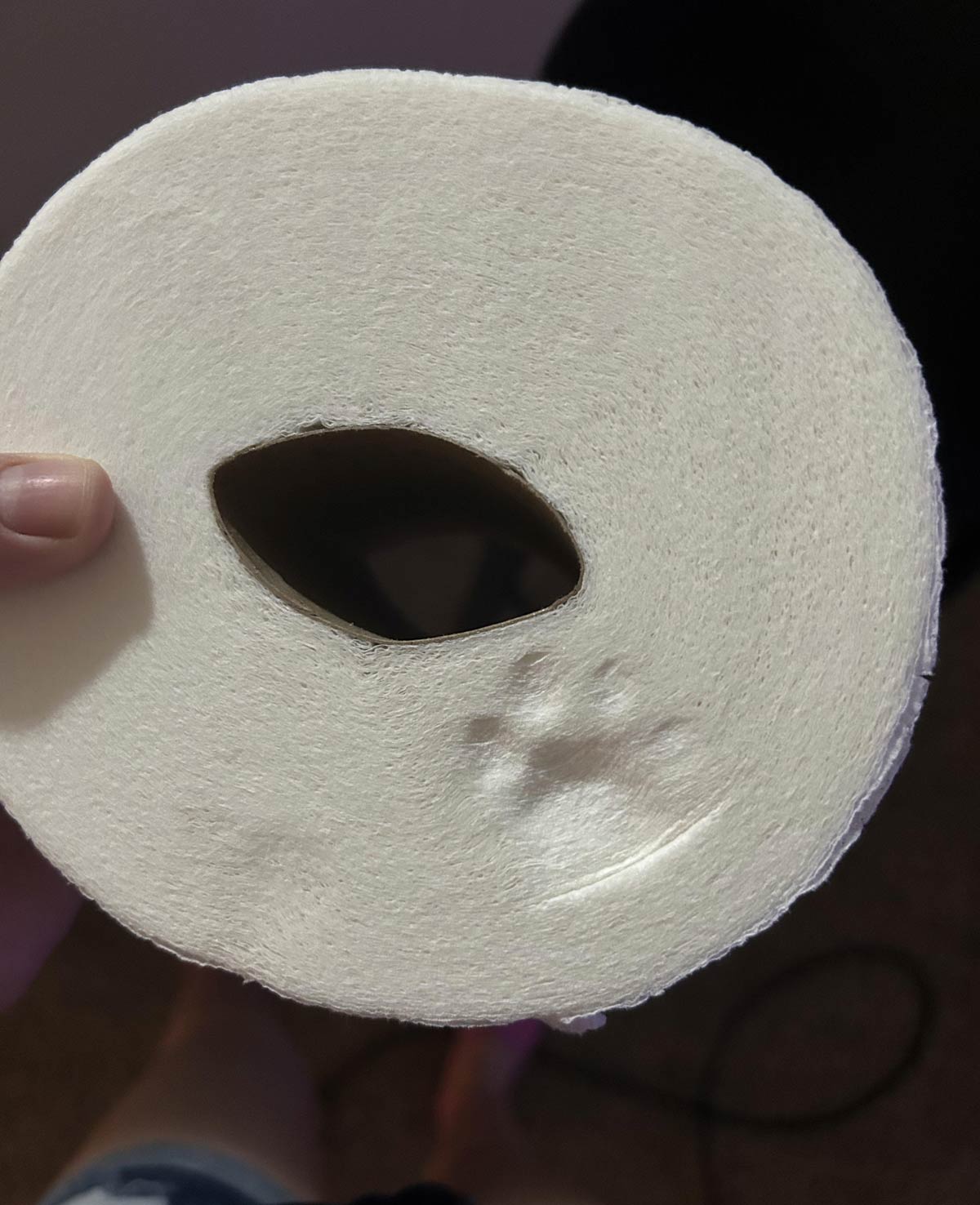 My cat left a perfect paw print in our toilet paper