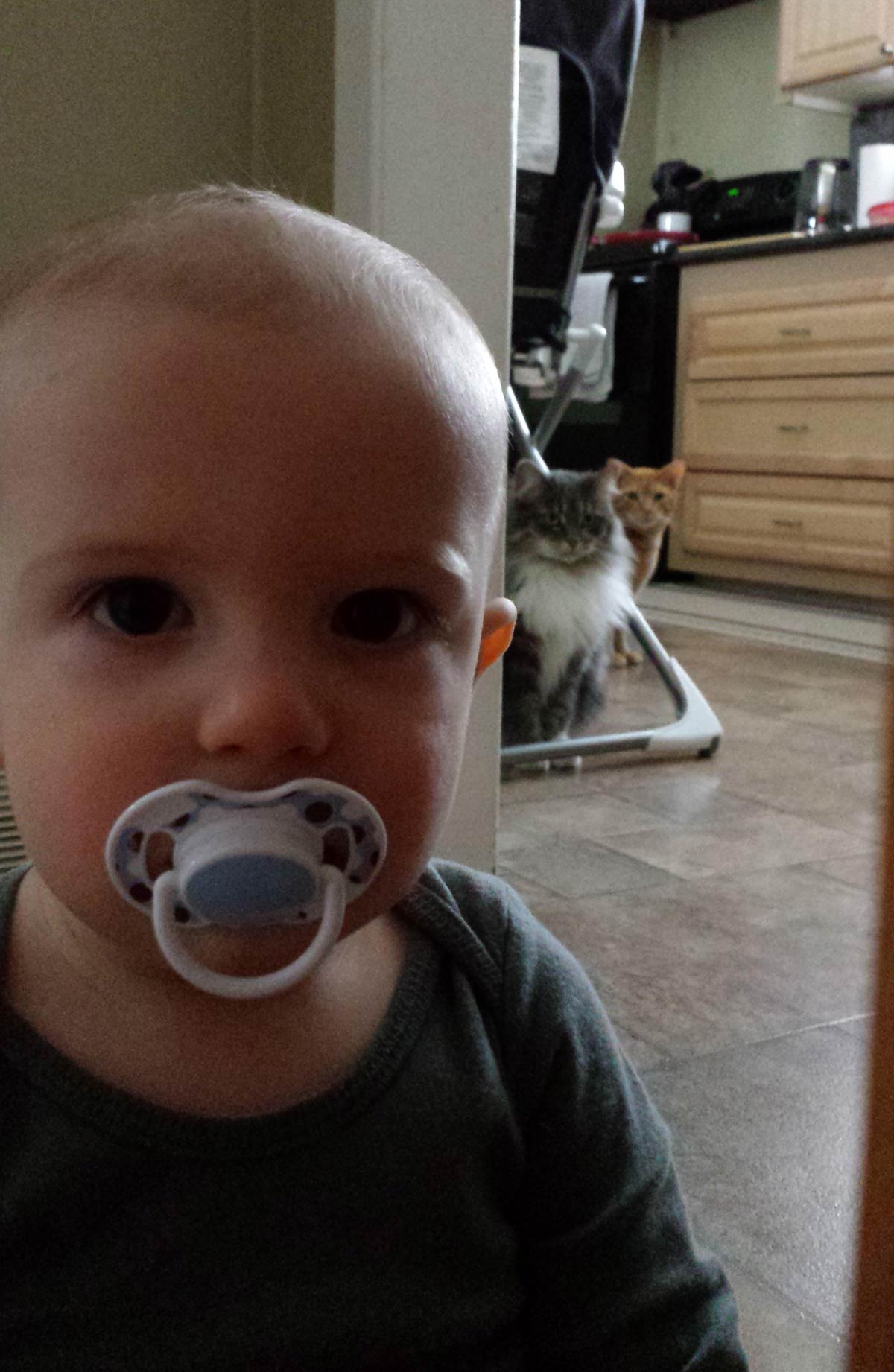 They’re plotting something...