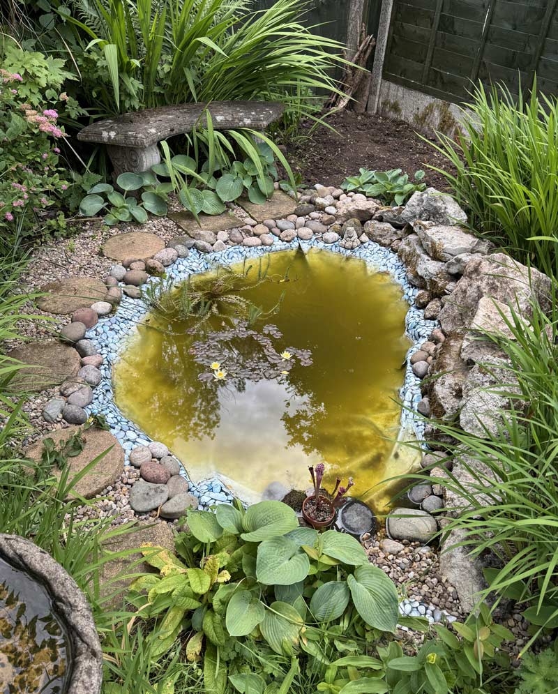 My dad replaced his pond lining, thought blue stony one was a good idea. Turns out it wasn’t