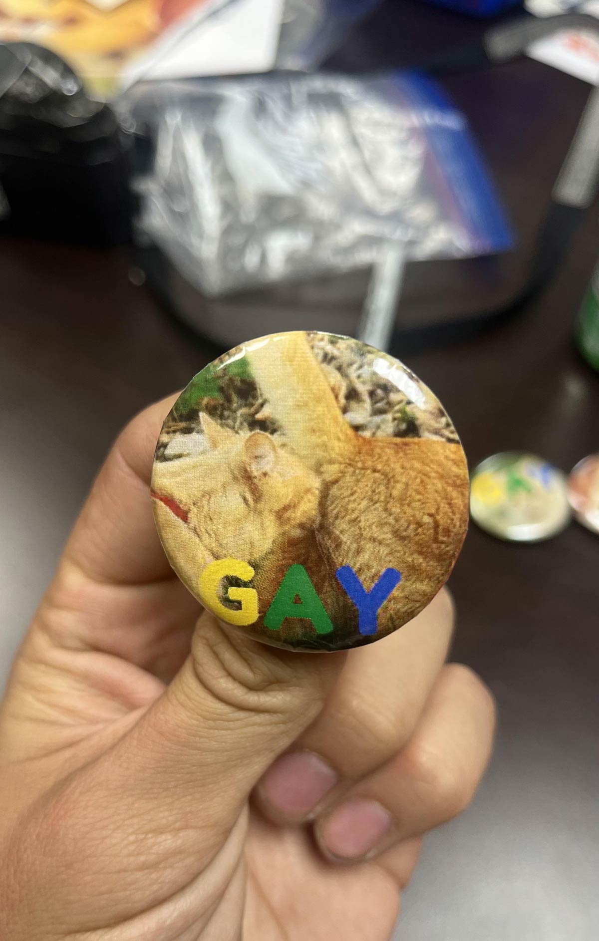 A button I made of my cats for pride this weekend