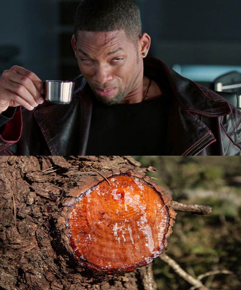IPA drinkers trying to convince you that it tastes great