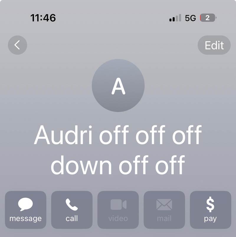 I was using voice dictation to create a new contact when my dog jumped on the sofa