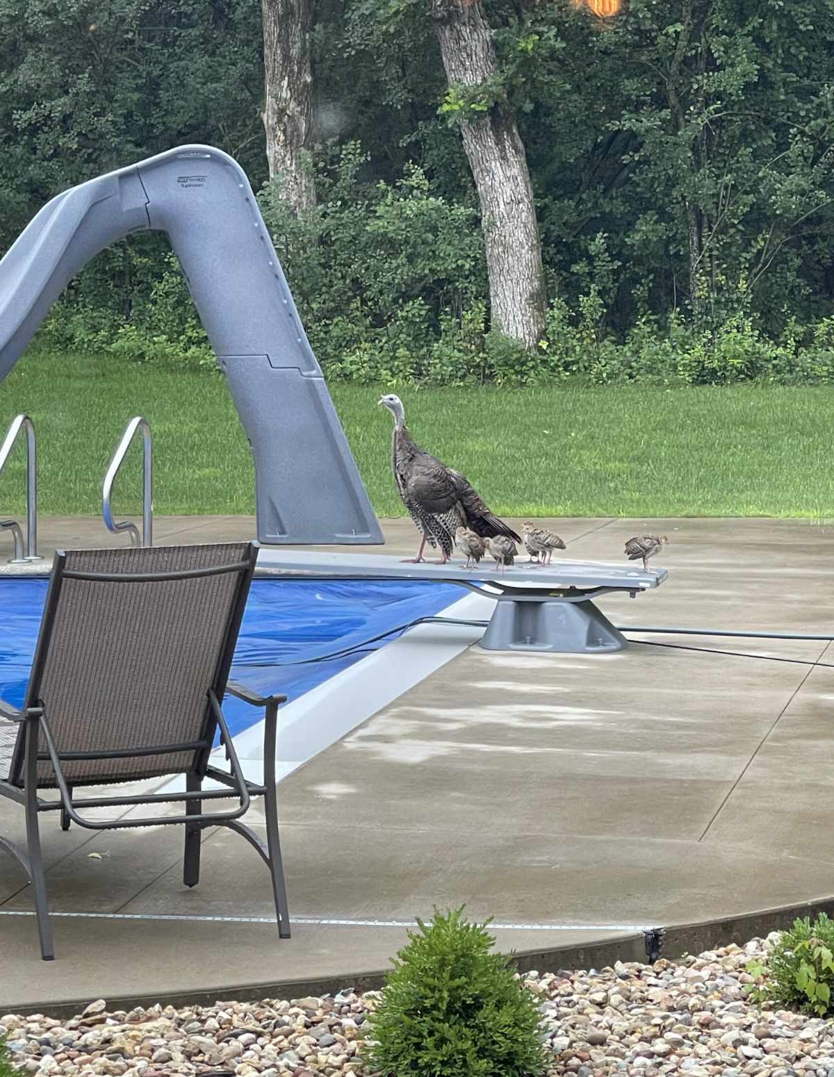 Diving lessons today
