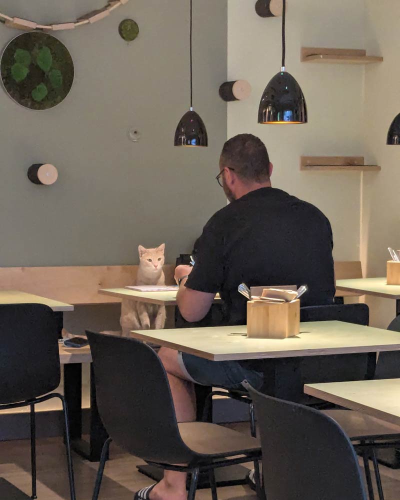 First date is going well