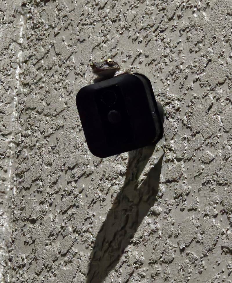 Camera system is good security, but Froggo can do better