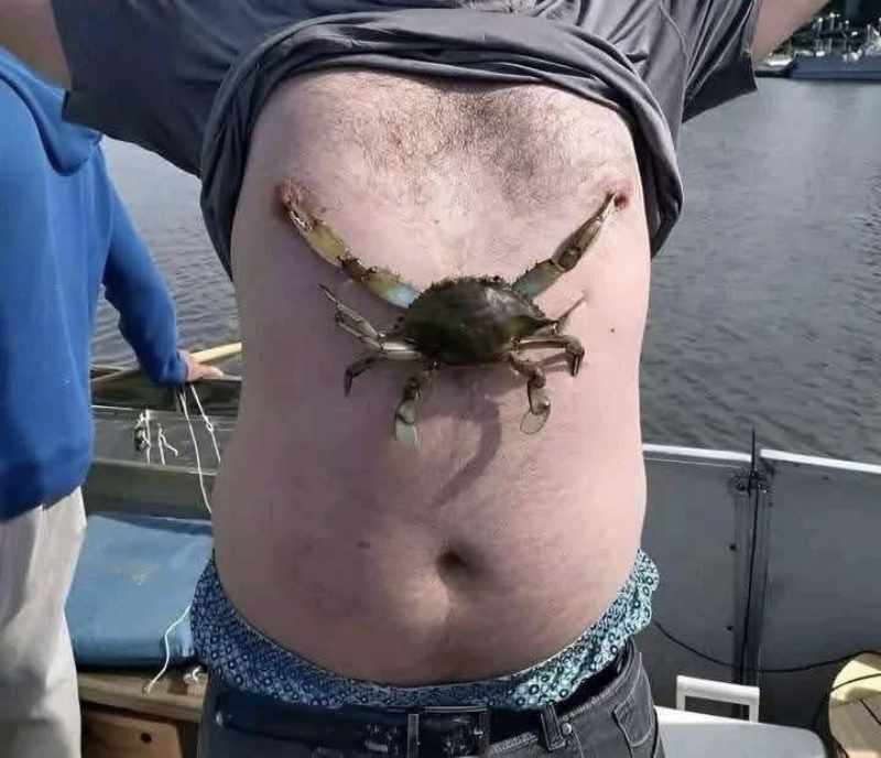 How to measure a crab