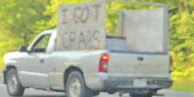 Funny Pictures – July 17, 2025