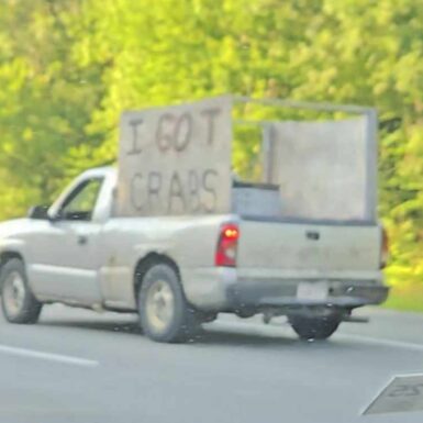 Funny Pictures – July 17, 2025