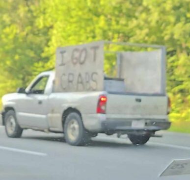 Funny Pictures – July 17, 2025