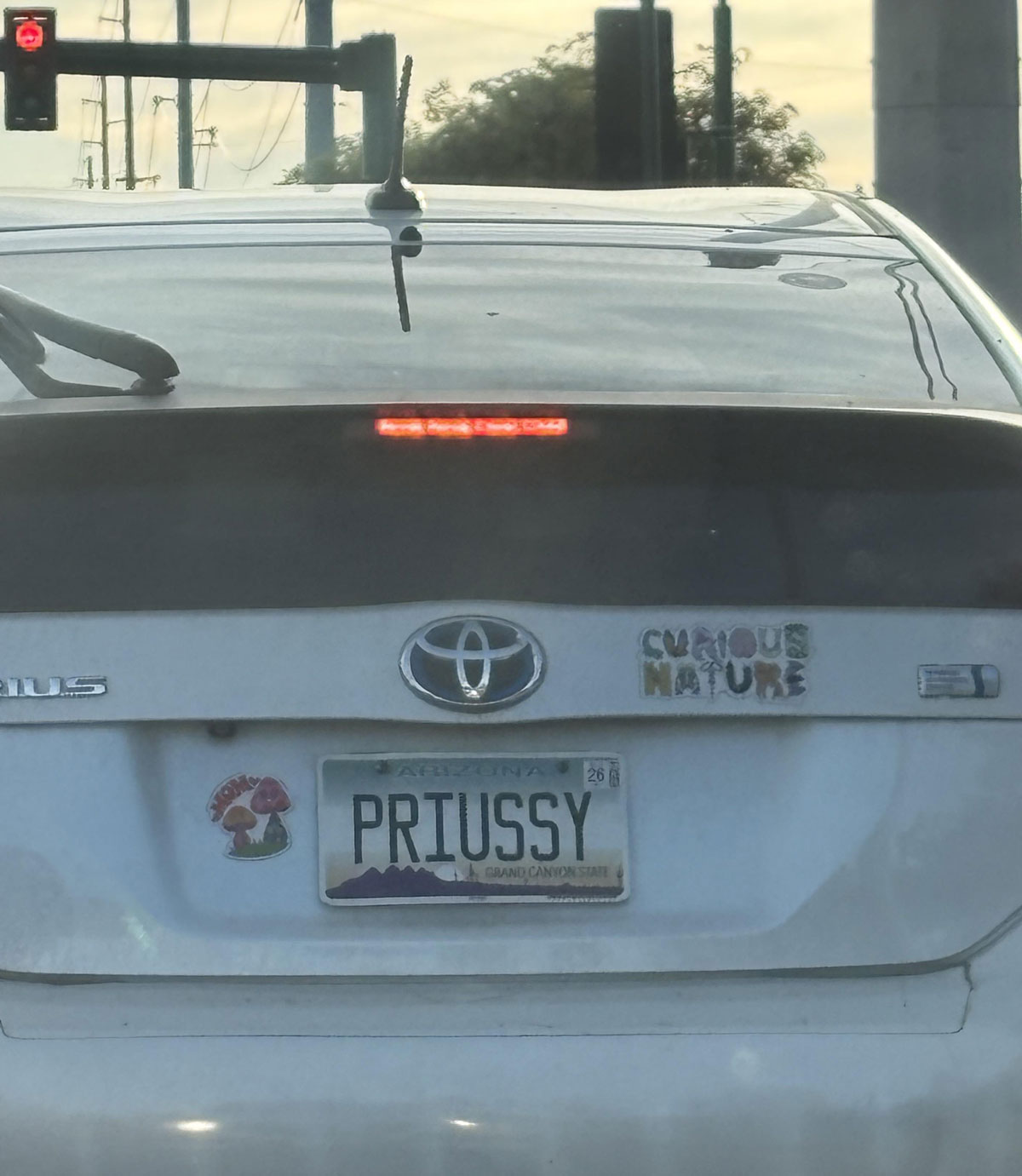 Priussy