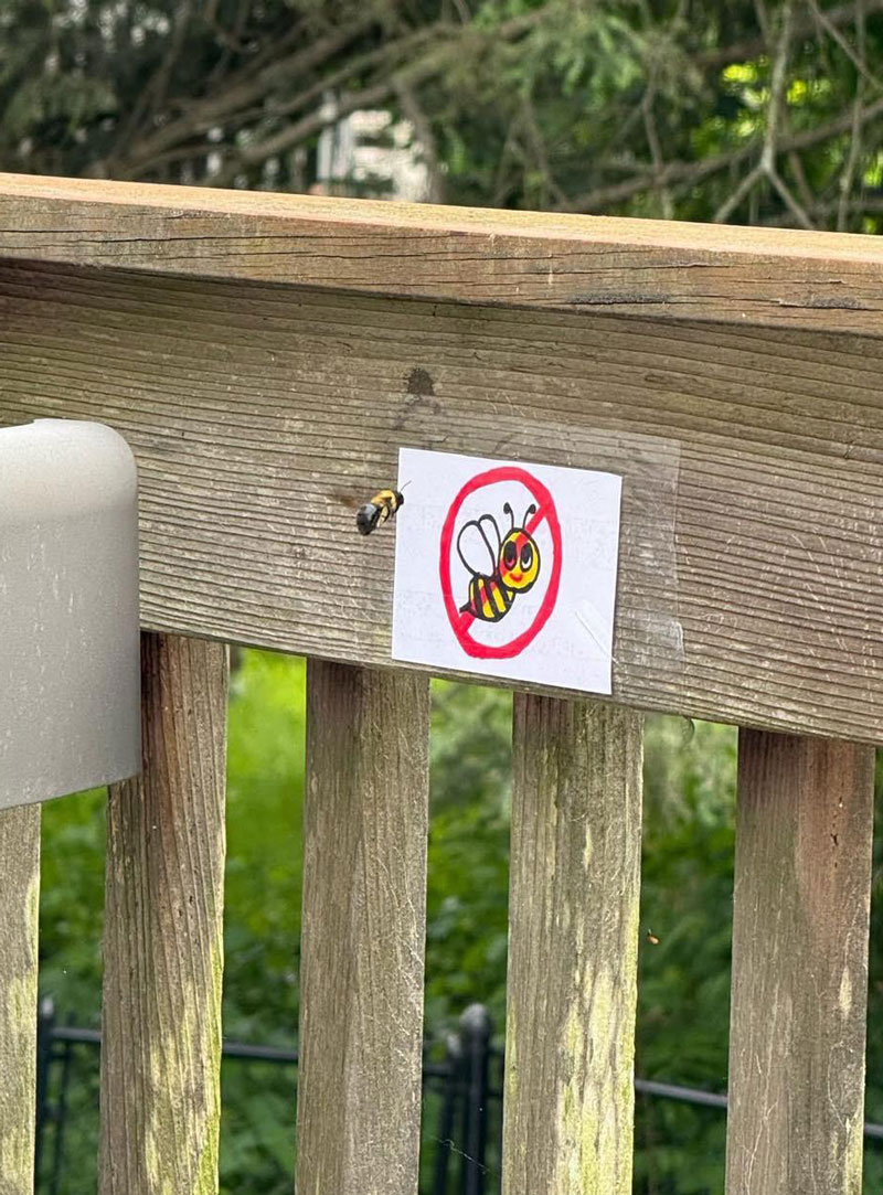 Rejected