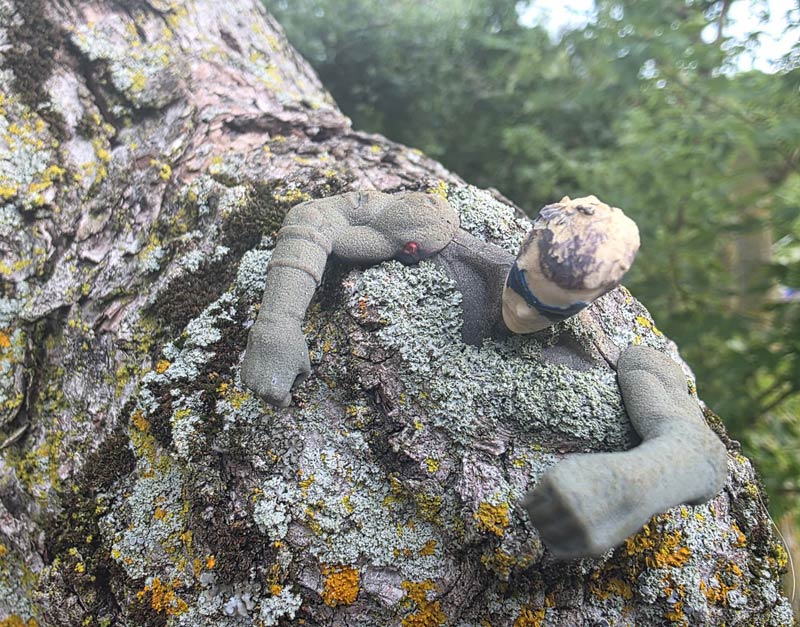 A Robin action figure (from the Batman and Robin movie) that I stuck in a hole in the top of my parent’s tree around 23 years ago. My brother just climbed up there today and sent me this picture