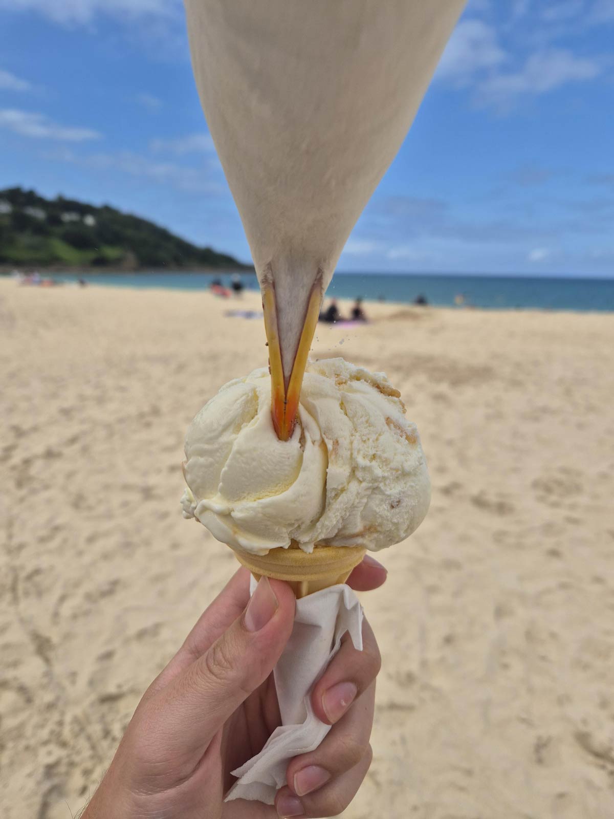Seagull stole my ice cream!