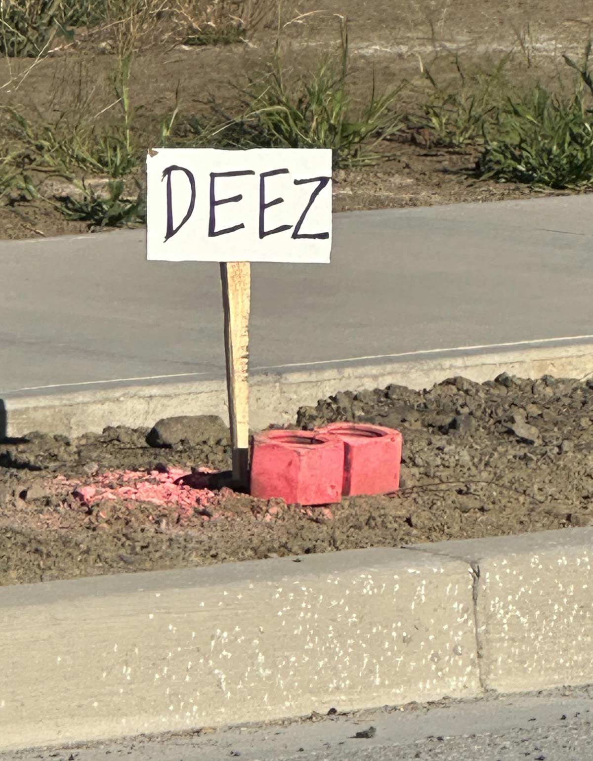 Spotted in the wild!