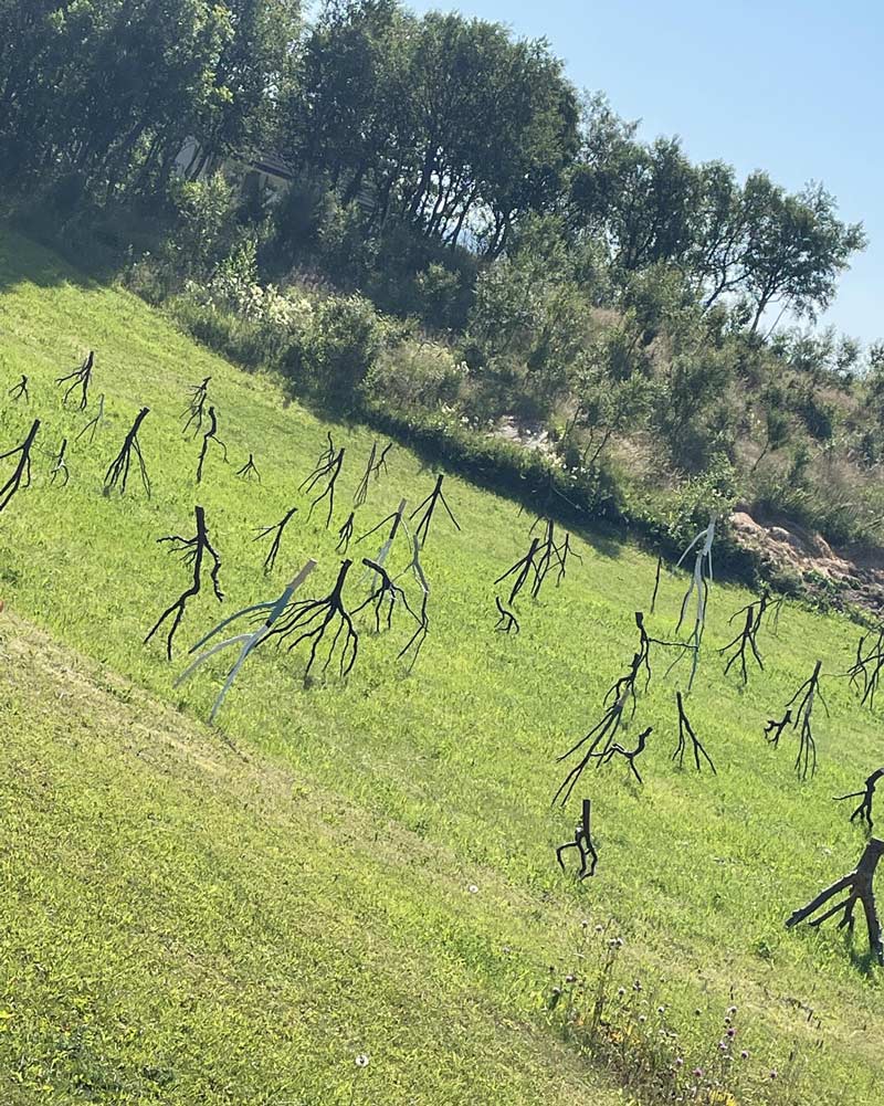 To Isengard!