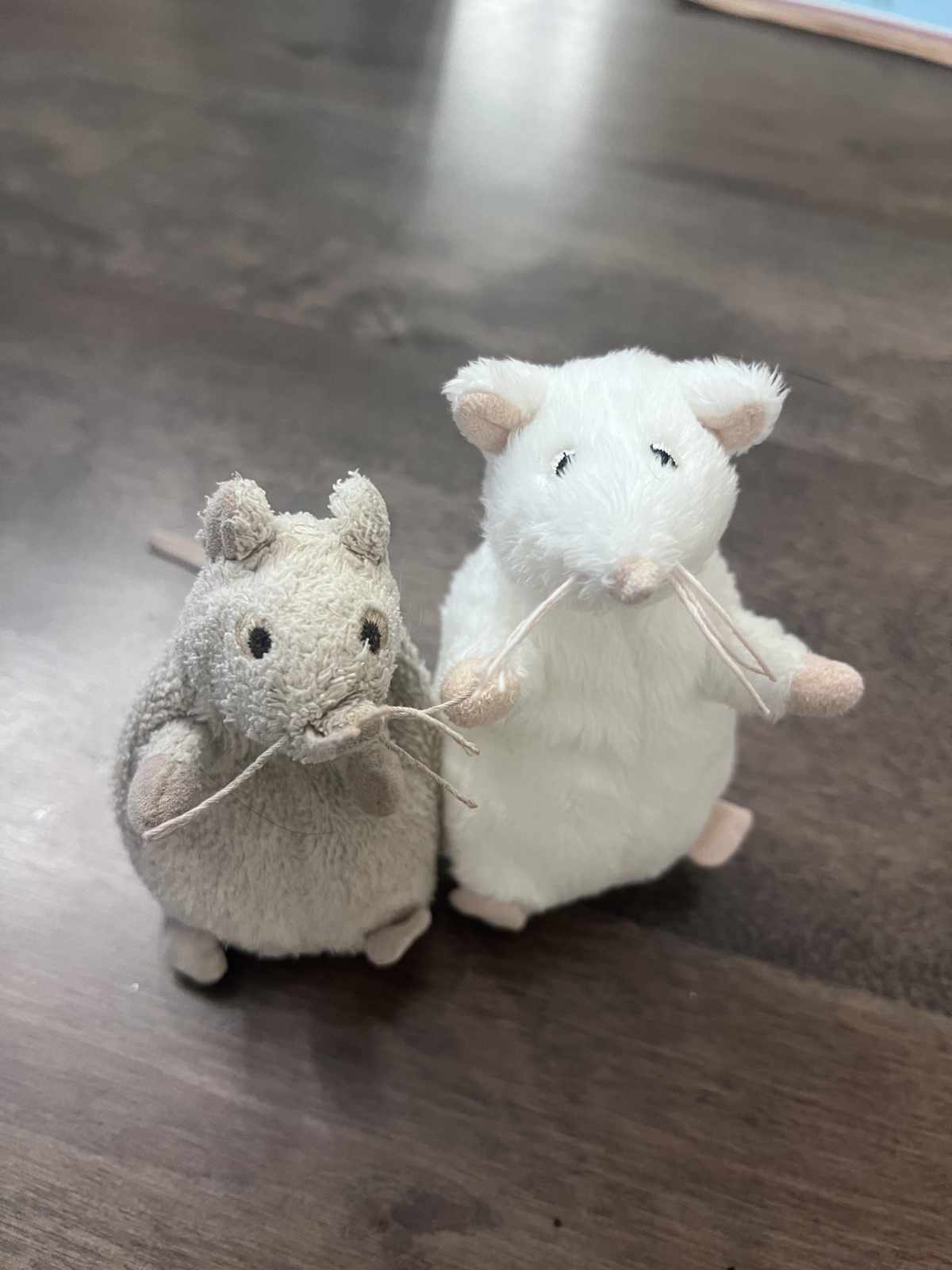 Daughter’s favorite stuffed mouse and identical backup never used