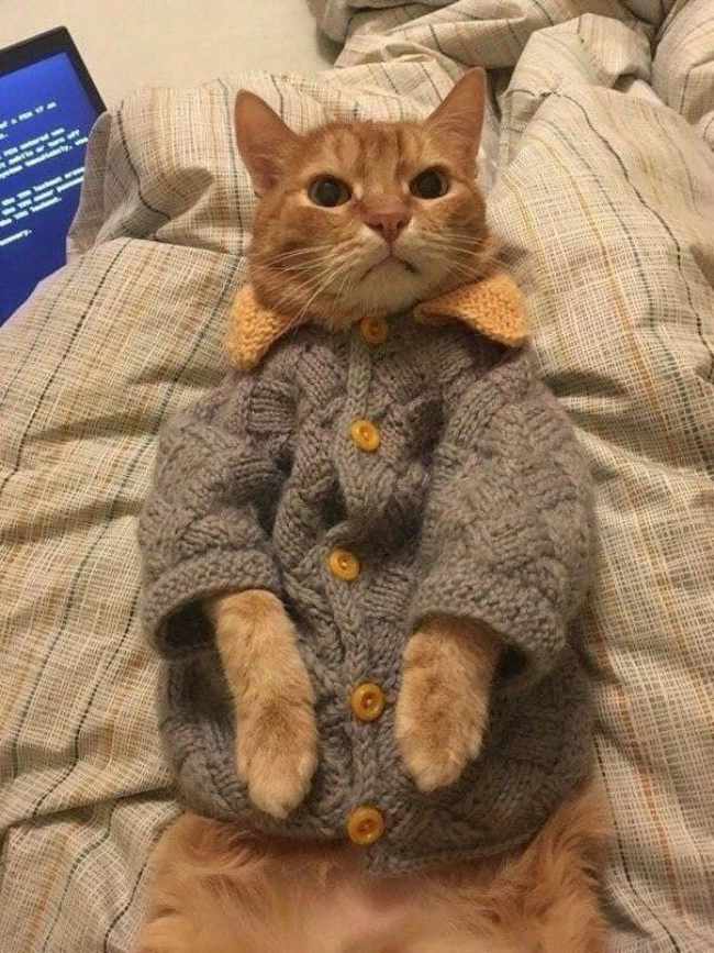 We left him at grandma’s house for 3 days