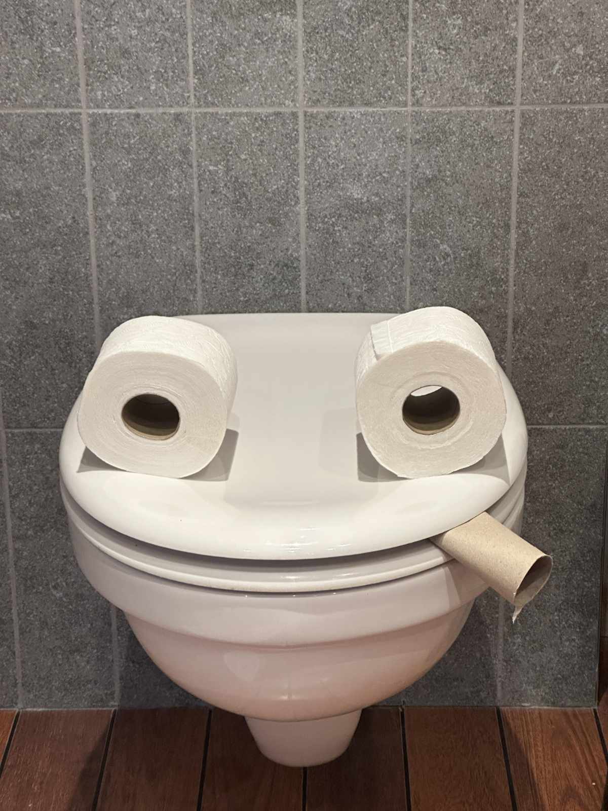 My mom used to put the toilet seat like that each time it was in cleaning