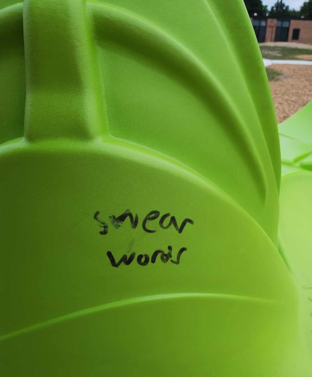 Some hardcore graffiti found at the local playground (NSFW for language)