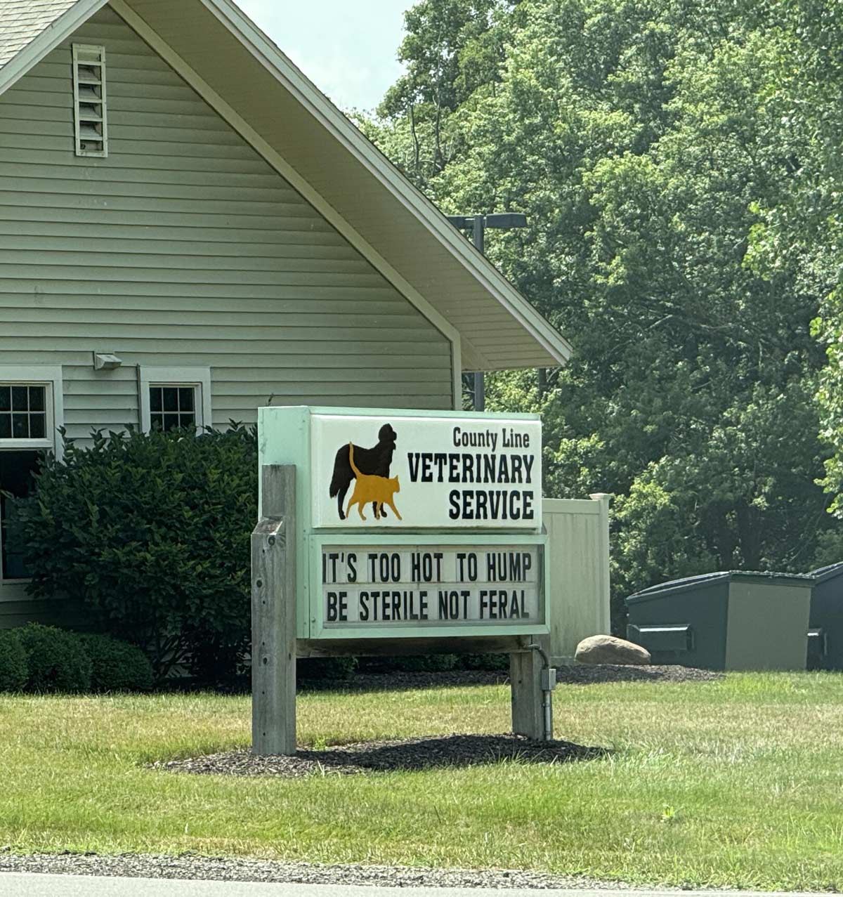 My vet isn’t messing around