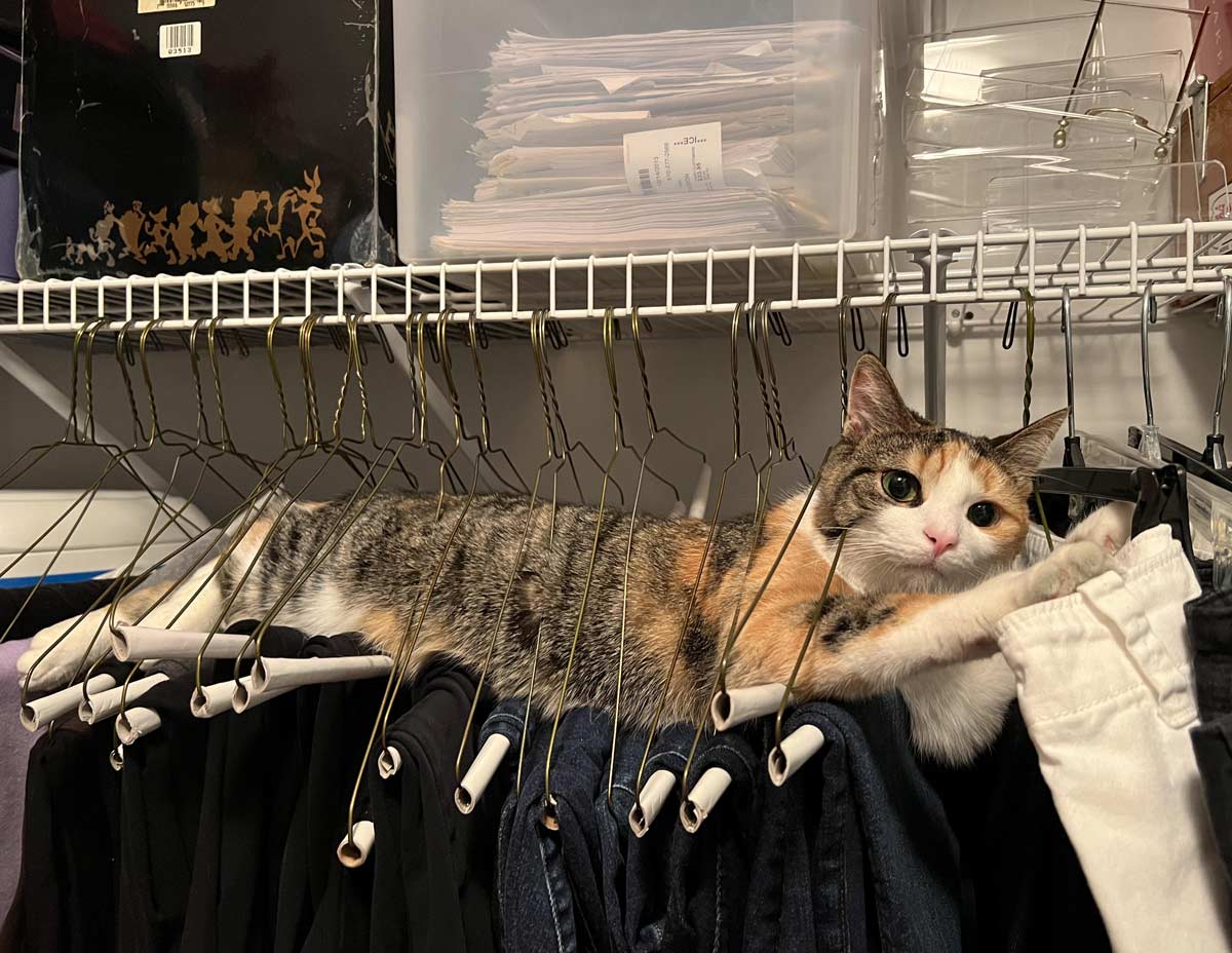 my nutjob (she gets up there all by herself)