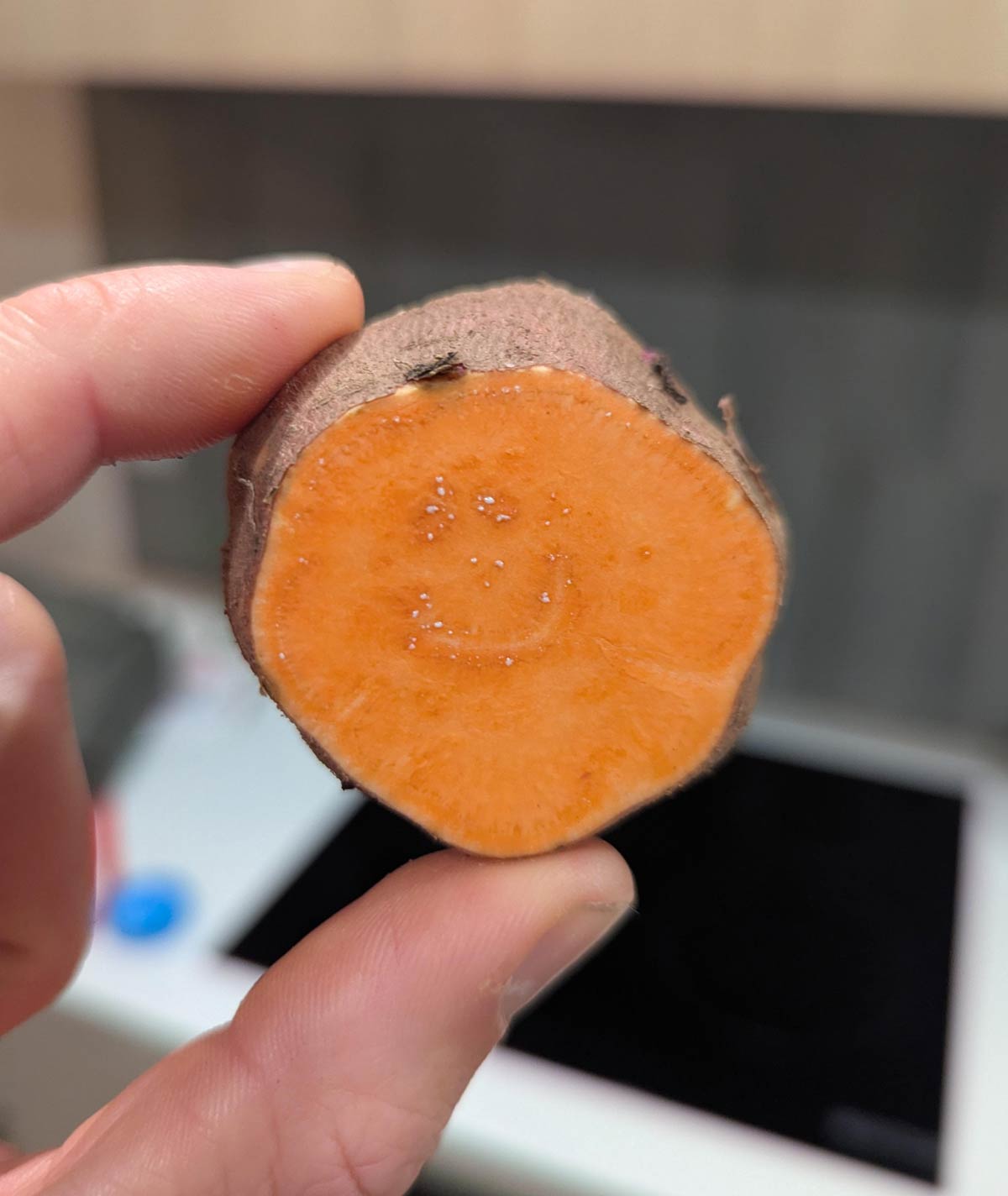 I cut in to my sweet potato and it was pleased to see me