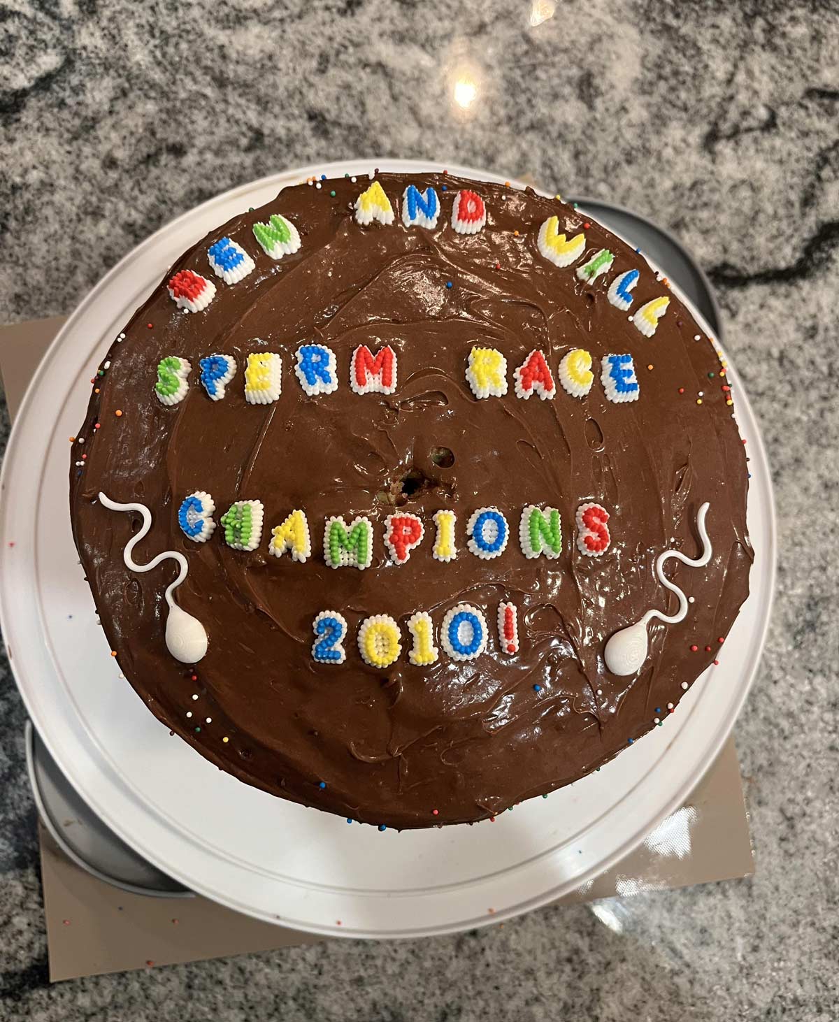 My 15 year old twins (fraternal) decorated their own birthday cake