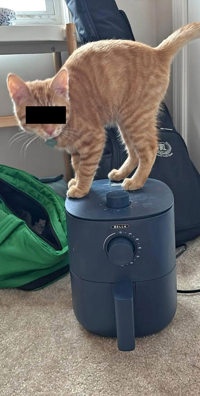 Maybe not the best picture to encourage someone to buy your used air fryer...