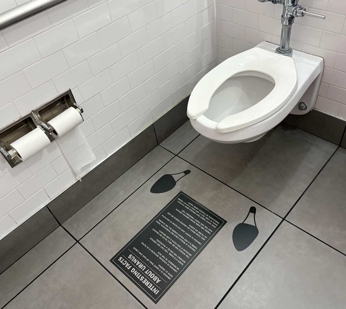 Toilet Read