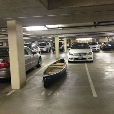 Funny Pictures – August 1, 2025
