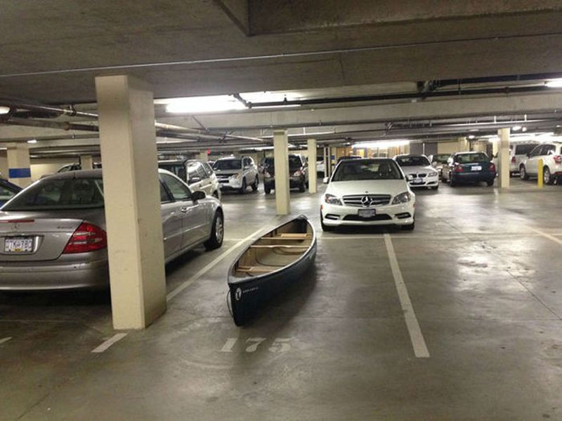 I think bro's really lost