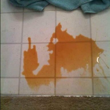Funny Pictures – August 11, 2025