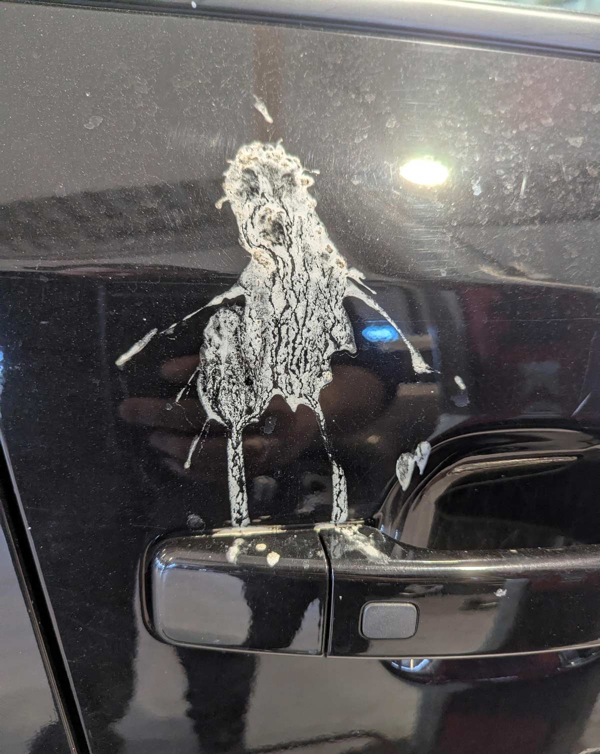 Funny Pictures – April 25, 2026