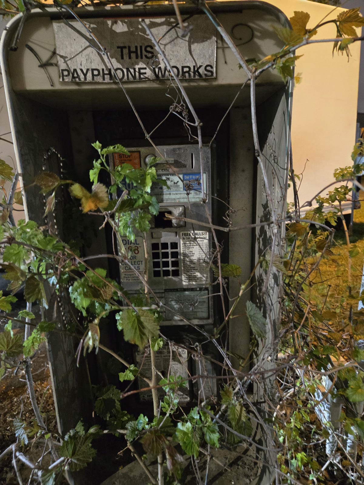 Funny Pictures – April 21, 2026