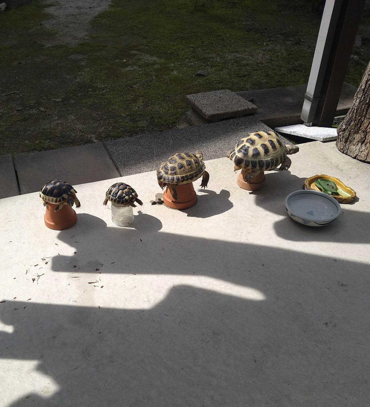 Funny Pictures – April 27, 2026