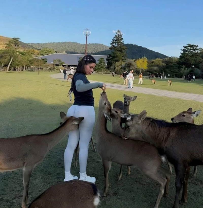 Funny Pictures – April 29, 2026